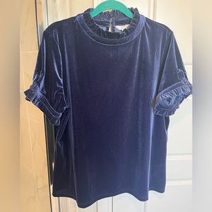 Crown & Ivy blue suade top